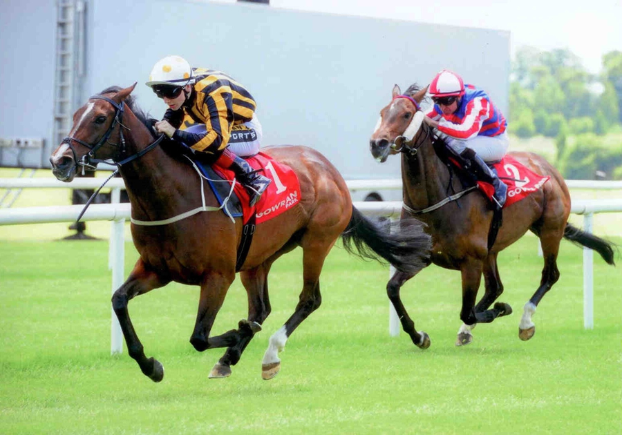 Adroit Gowran Park Sun 22nd June